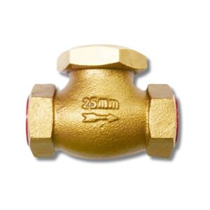 OMEGA_Union_Cap_Check_Valve_Non-Return_Valve