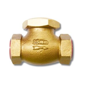 TDK Union Cap Check Valve ( Non return Valve)