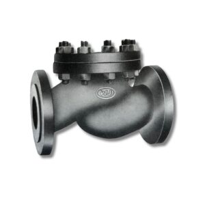 WJ Cast Iron Horizontal Lift Check Valve