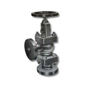 WJ Cast Steel Accessible Feed Check Valve
